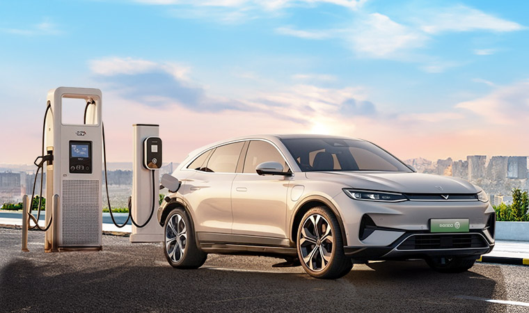 Vehicle and Charger Green Loans