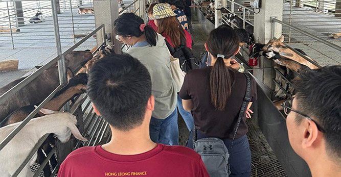 Bringing Sunshine to Children of Sunbeam Place